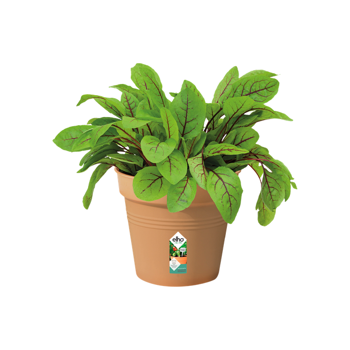 green basics pot de culture 13cm terre cuite doux